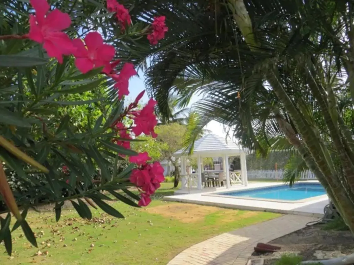 Lime Tree Villa - Canal Front George Town Cayman Adaları